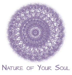 Nature of Your Soul logo